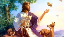 Gesù e gli animali